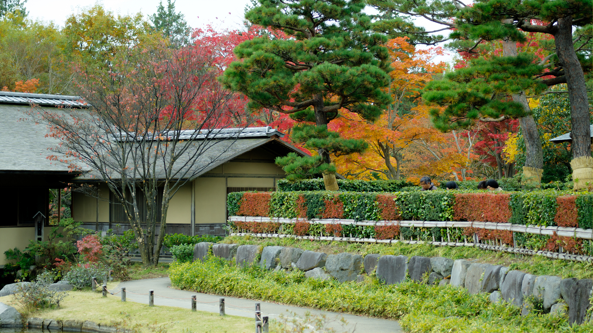DSC01446x3.jpg