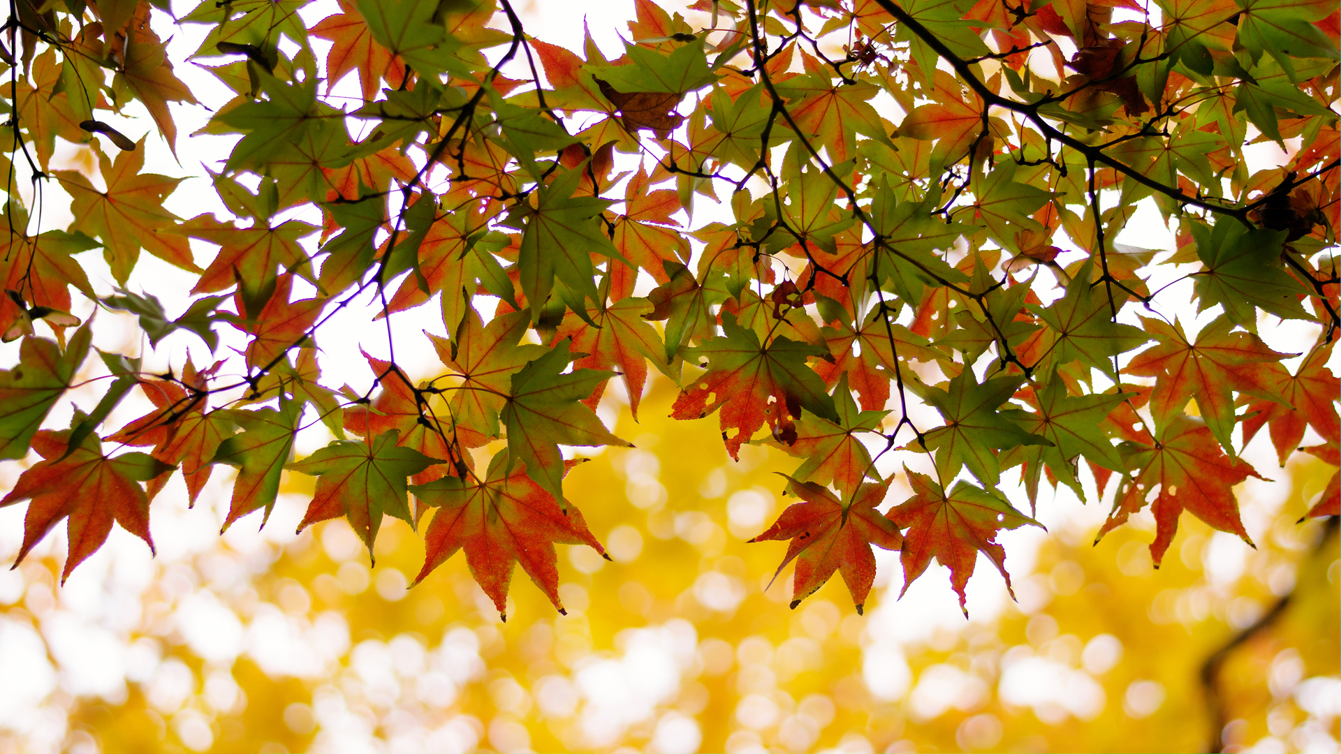 DSC01491x3.jpg