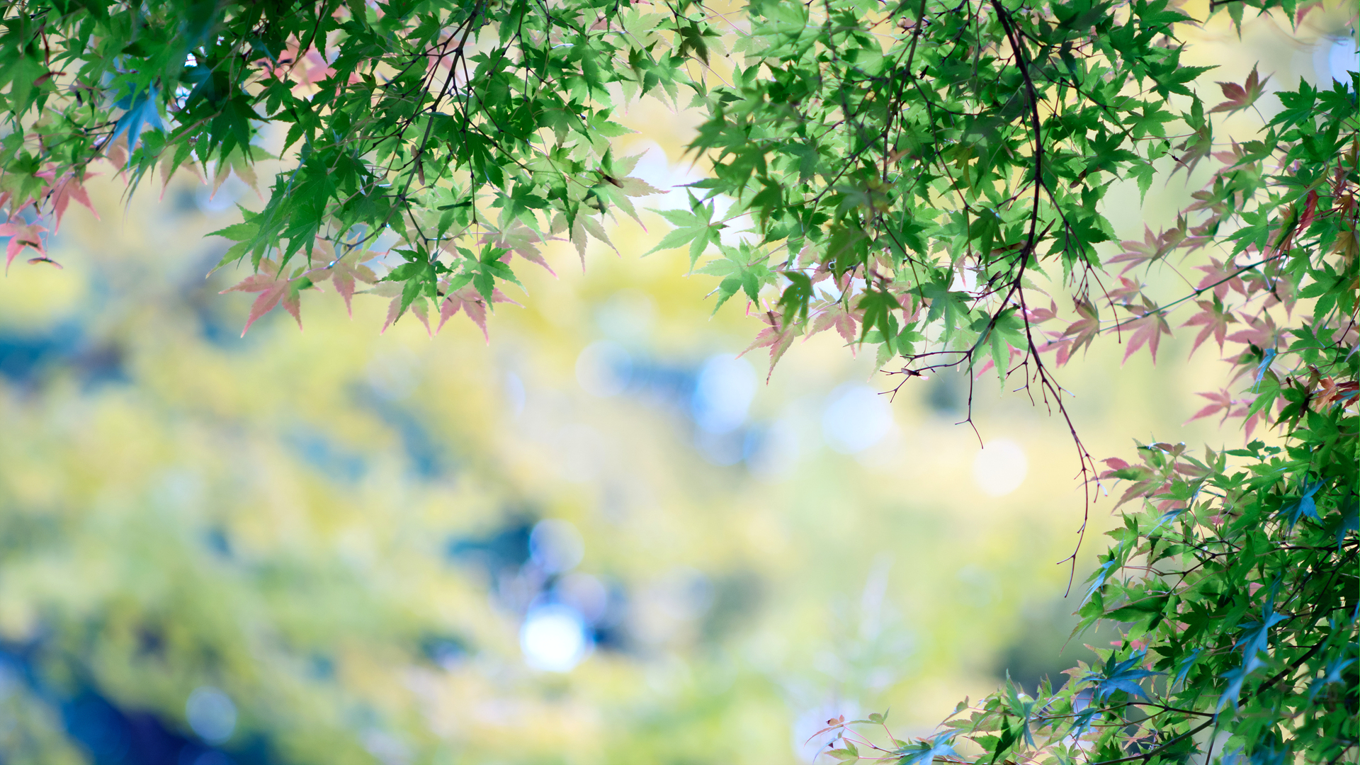DSC01273x3.jpg