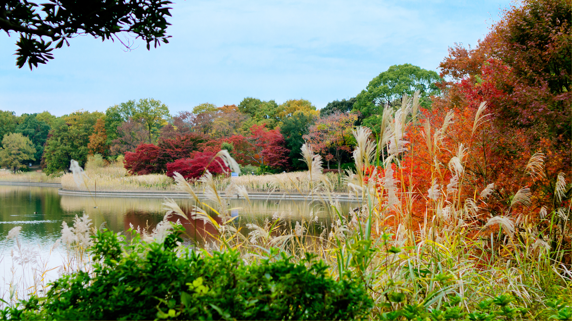 DSC01323x3-2.jpg