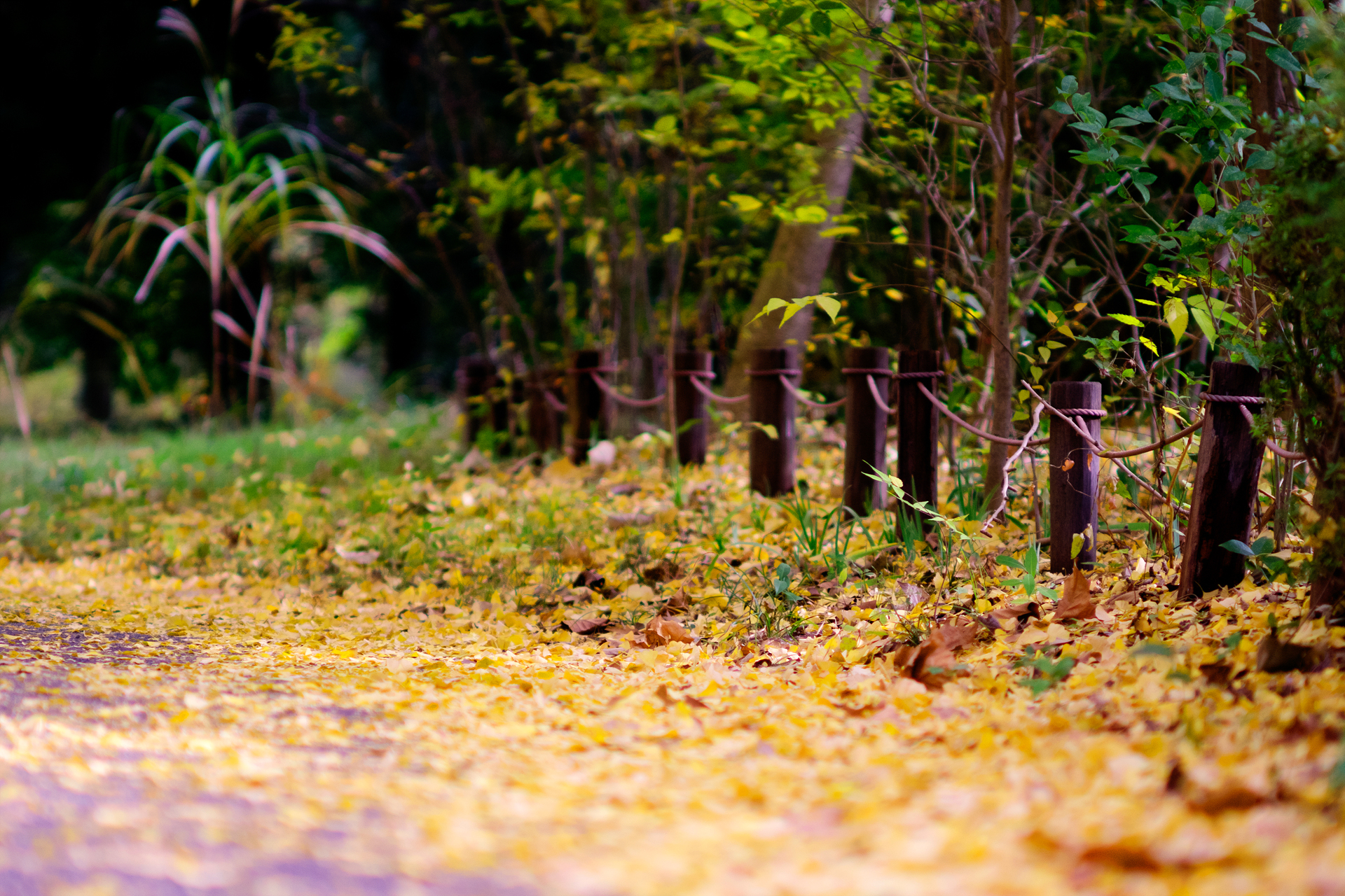 DSC01303x3.jpg