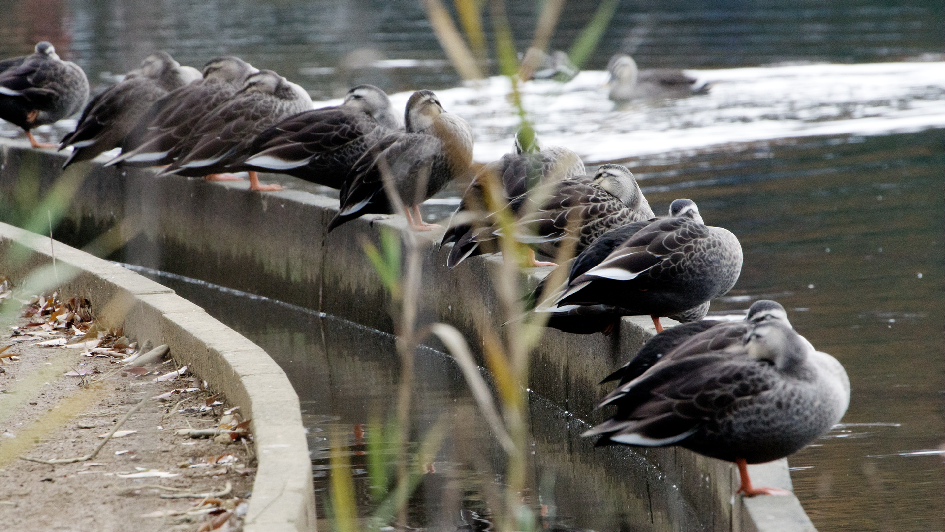 DSC01344x3.jpg
