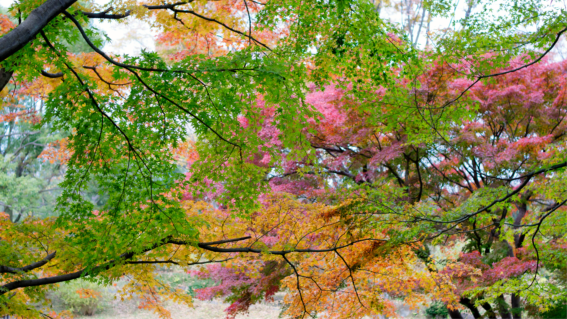 DSC01367x3.jpg