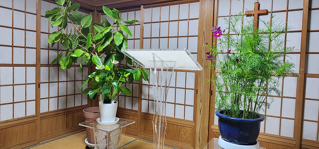KakaoTalk_20260509_204712229.jpg