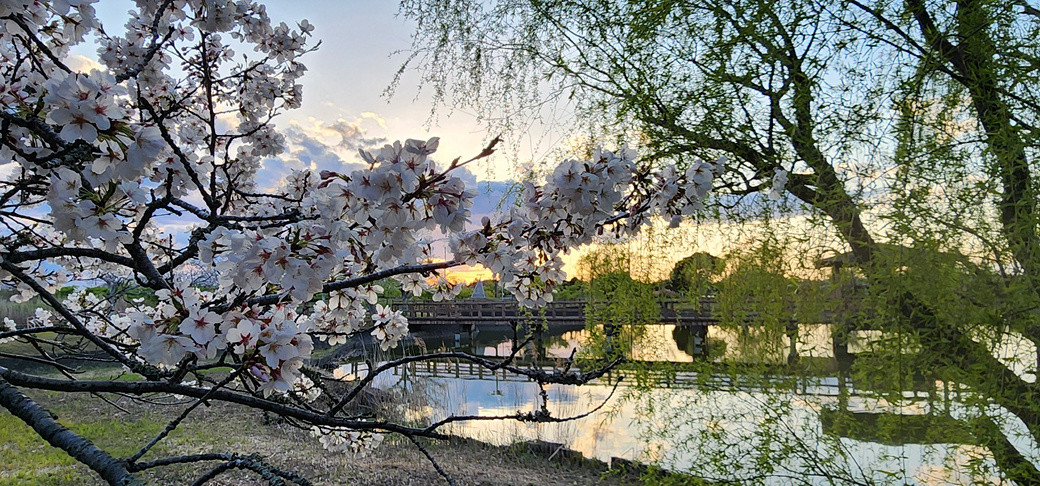 KakaoTalk_20250419_144847248.jpg
